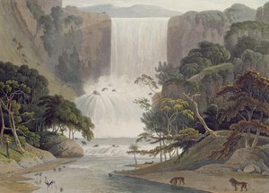 スニューウベルクのカスケード、「アフリカの風景と動物」からのプレート25、アーティストによる彫刻、1805年（着色されたアクアチント）